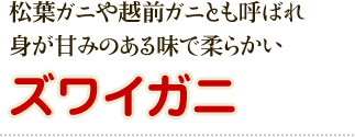 松葉ガニや越前ガニとも呼ばれ身が甘みのある味で柔らかいズワイガニ