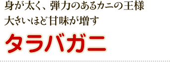 身が太く、弾力のあるカニの王様大きいほど甘味が増すタラバガニ