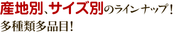 産地別、サイズ別のラインナップ！多種類多品目！