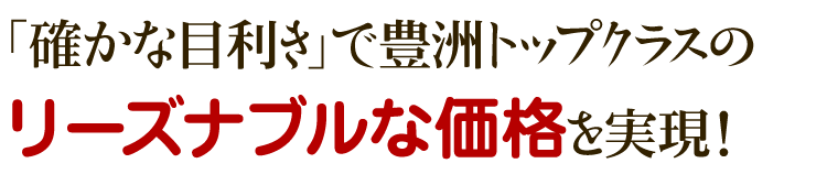 リーズナブルな価格